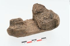 Foto von Hirschgeweihhammer (NHMW-PRAE-085891)